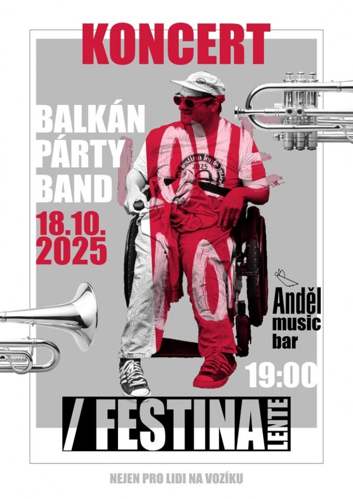 Benefiční koncert pro Festinu