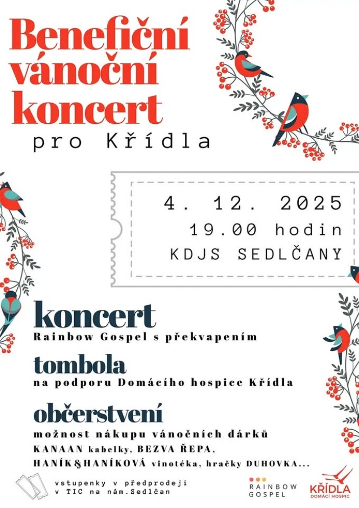 Benefiční vánoční koncert pro Křídla