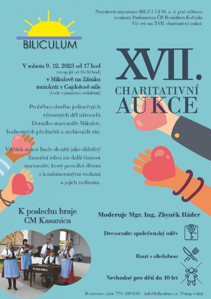 Charitativní aukce