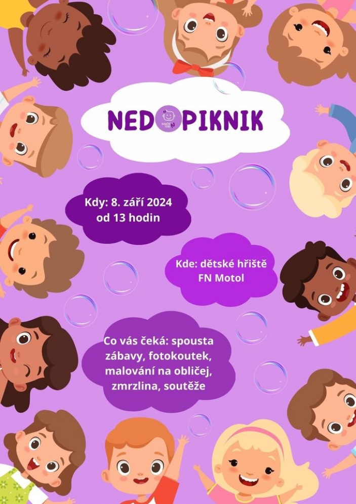Nedopiknik