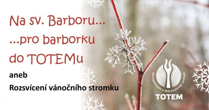 Rozsvícení vánočního stromku