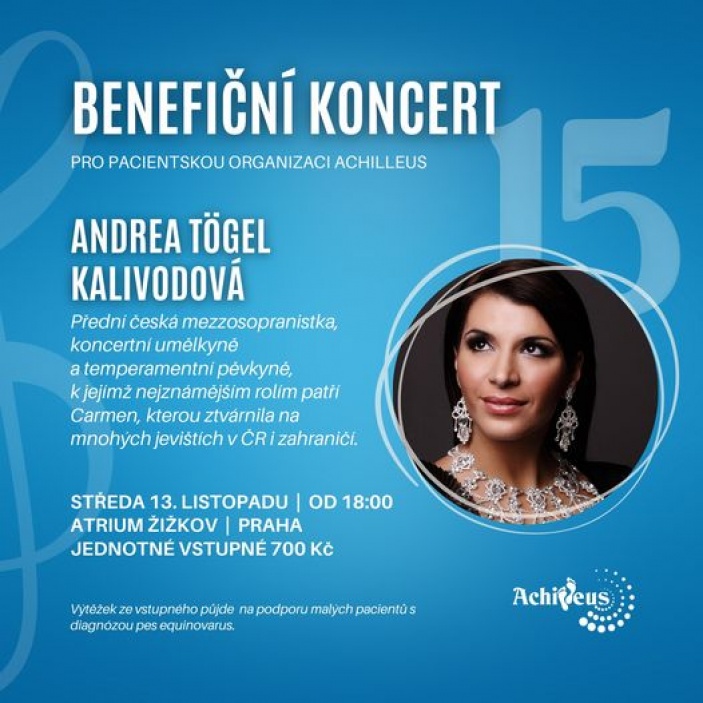 BENEFIČNÍ KONCERT