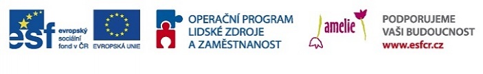 Projekt Návrat do zaměstání po onkologické nemoci pomalu finišuje. 