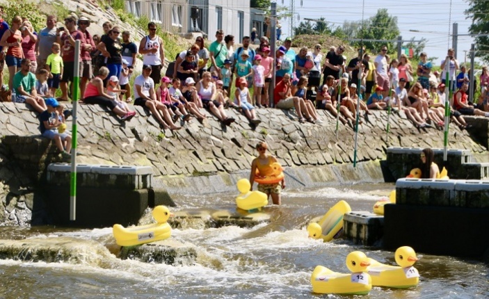 Koupací kachničky budou opět závodit. Pomůžou tak dětem s handicapem.