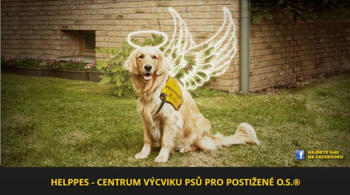 Helppes - Centrum výcviku psů pro postižené o.s.
